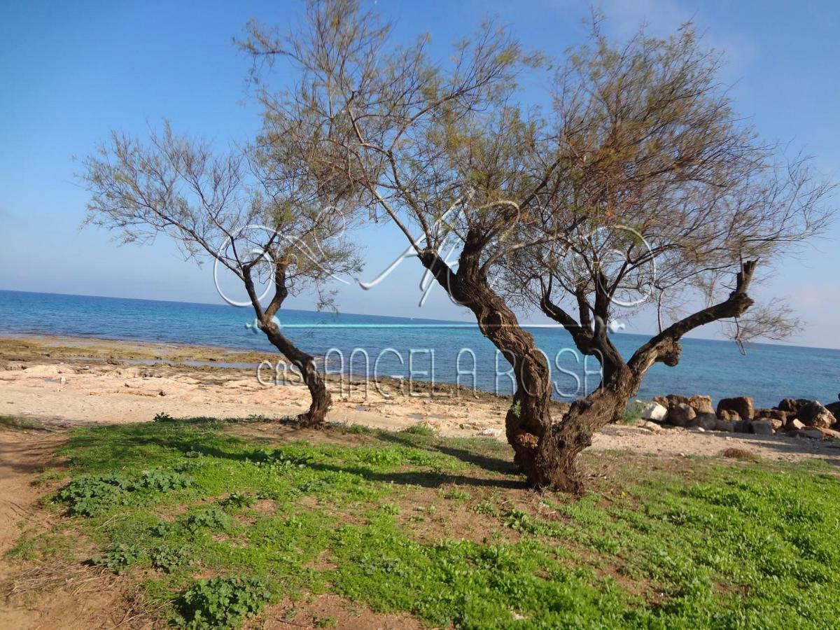 Casa Angela Rosa Βίλα Carovigno Εξωτερικό φωτογραφία